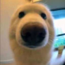 jooe34wrefwr4tg5gru6ts6u6u6ryuy6rjng ujy6nn6yjun mbhg