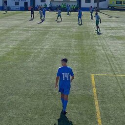 goncalovieira31