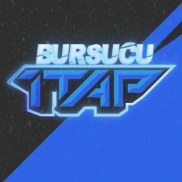 Bursuc2415