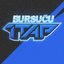 Bursuc2415