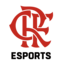 Flamengo Malvadonas