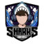 SharkS Ibmec CS2