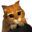 Variatka