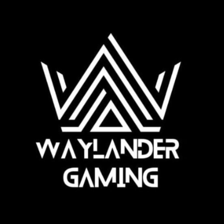 Waylander Gaming INTRO group