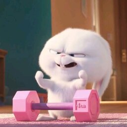 Ailena-