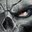wolf_638