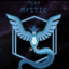 Mystic Team#00