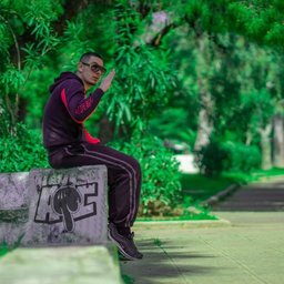 fantasticwardcoverage