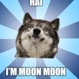 Moon_Moon