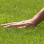 Grass Touchers