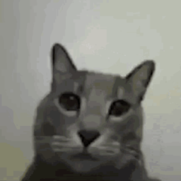 Ð ? ? l#4087