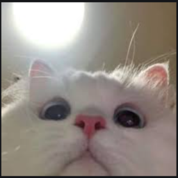 clutchyfnr