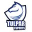 Tulpar Esports Academy (was deleted at: 2020-10-17T16:15:28.1338396Z)