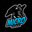Micro (was deleted at: 2023-03-15T02:21:53.4094317Z)