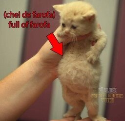 Shura The Best#Middd