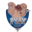 PYRY PP