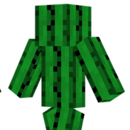 WOJTAZZ