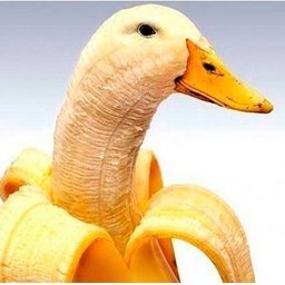 -m0n5t3r