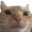 suklaamix