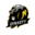 Team_Dynasty