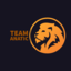 Team Anatic