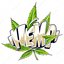 the cannabis