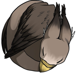 Gryfu