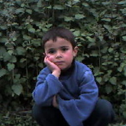saleh_2004