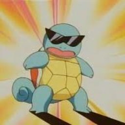 The Squirtle