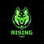 Rising Gaming team_2