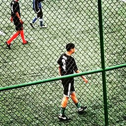 sousa³³
