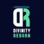 Divinty Reborn