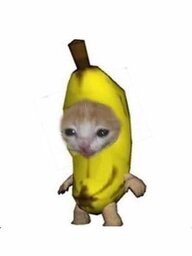 Cuckiel
