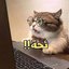 BnRoshdy