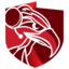 PLE.GG VALORANT NATIONS CIRCUIT