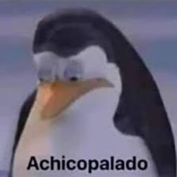Taigacrlll