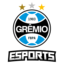 GRÊMIO ESPORTS (was deleted at: 2025-08-14T22:52:12.1199529Z)