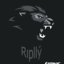 Ripllý
