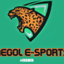 Inegol e-spor