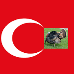 ZG I _natenn_