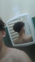 dnzhxx