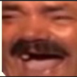 seexomanis1