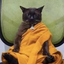 Mysterious Demon#BR1