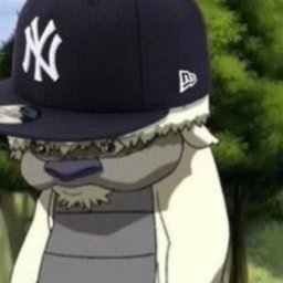 appa drip drip