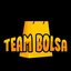 Team Bolsa Valorant