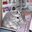 miaumiaux (was deleted at: 2025-12-04T03:16:51.9295779Z)