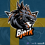 bjerkcs