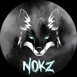 TheGodlyNokZ