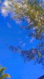 evelynsusanedebritovieirasusan@gmail.com