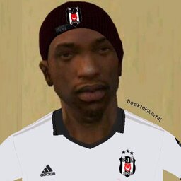 ENES#9411